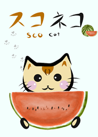 Daily ScoCat Watermelon Ver