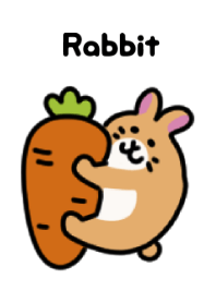 กระต่าย 1