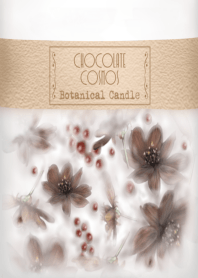 Botanical Candle -CHOCOLATE COSMOS-