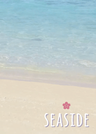 Seaside Cherry blossoms'Purple'