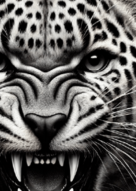 モノトーンアニマル4