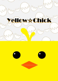 Yellow chick