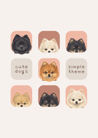 DOGS - Pomeranian - SALMON PINK