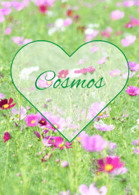 --- Cosmos --- 25