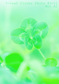 5-leaf clover Photo#3-21Not AI