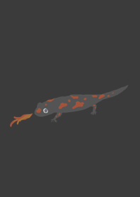 Salamander fire