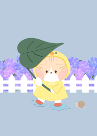 折耳貓的雨天
