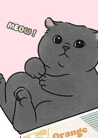 neko single21 - pink