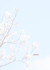 Japanese SAKURA Theme 21