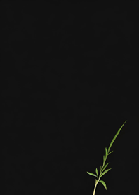 Ultimate Black - Background dCCA3A