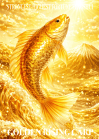 Rising carp that brings good fortune 18