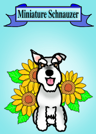 ミニチュアシュナウザーのロンくん