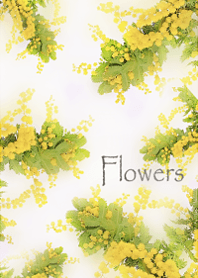 Mimoza flowers wrapped in kindness8.