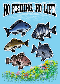 海水魚 7