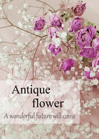 World of Antique dried flower.19.