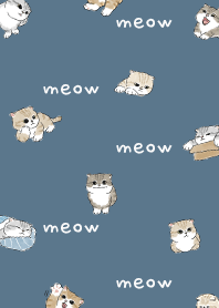 neko combo4 / teal blue