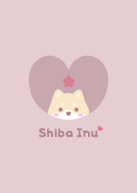 Shiba Inu2 Cherry blossoms - pink