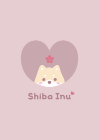 Shiba Inu2 Cherry blossoms / pink