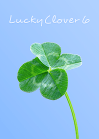 LuckyClover6