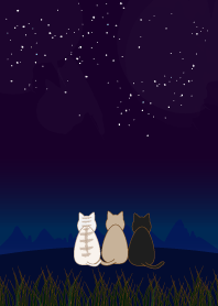 Cats at night.