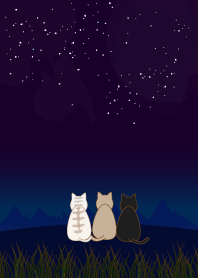 夜の猫たちの着せかえ