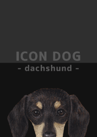 ICON DOG - dachshund - BLACK/05