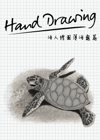 Drawing from Ocean Sea Turtle Collection