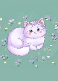 Wisteria & Chubby Cat