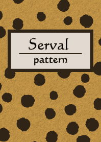 Serval-Savanna Cat WV