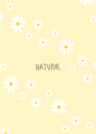 Daisy diagonally16 from Japan