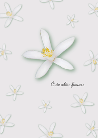 Cute white flowers*