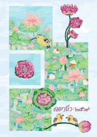 Lotus Flowers 2026