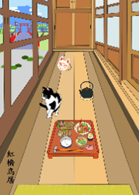 Cat in the Corridor of the Japan House 9