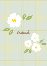 Satisfied White Flower Check12from Japan