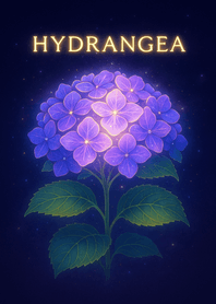 繽紛繡球花