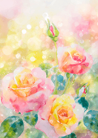 Beautiful rose flower(R2796)