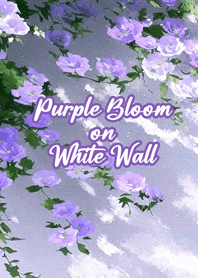 Purple Bloom on White Wall