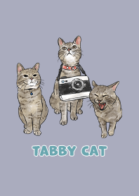 tabbycat11 / mist purple