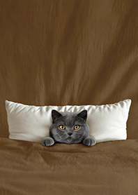 귀여운 퀼트 고양이4I - 회색 고양이