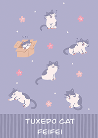 賓士貓菲菲(櫻花篇)