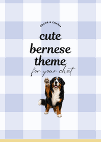 Tiny Bernese Dog Theme
