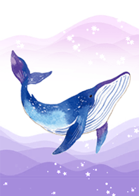 Great blue whale by Ystudio