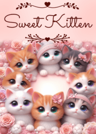 Sweet Kitten No.170