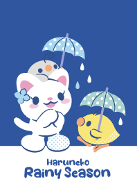 Cat Rainy Season