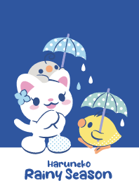 ♪Cat Rainy Season♪