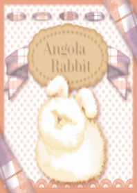 Angola rabbit