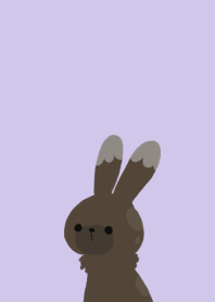 Chocolat lapin