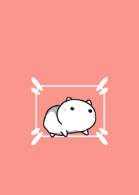 cat staring - 36 - frame