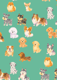 Is my dog here? 01 blue green