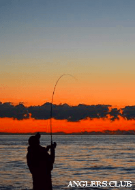 アングラーズシルエット Part3